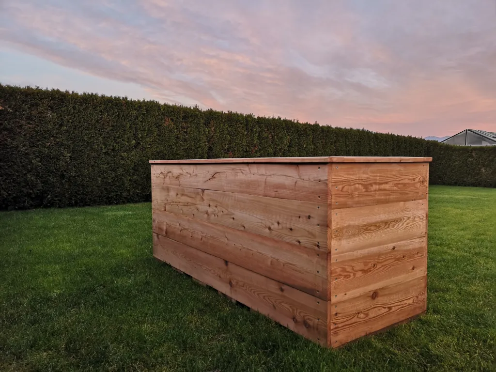 Projekt Woody 2