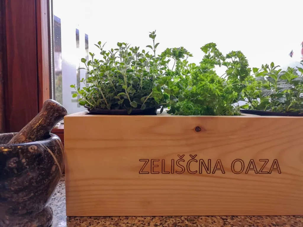 Zeliščna oaza – korito